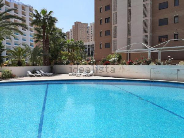 Appartement Vue Sur Mer Avenue De L'Europe Benidorm Zewnętrze zdjęcie